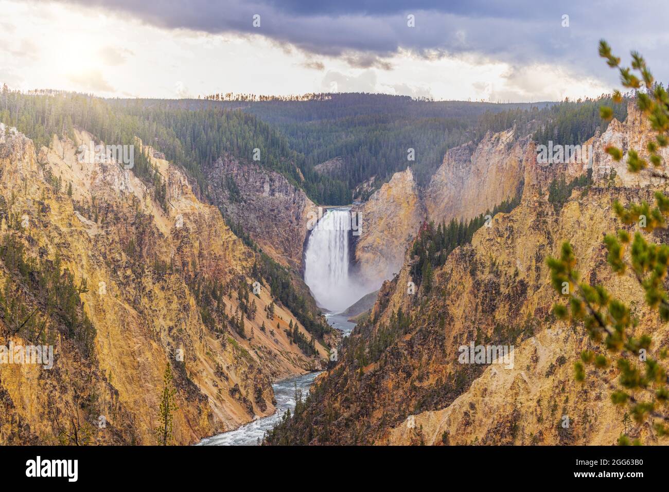 Lower Falls Blick vom Artist Point im Grand Canyon auf den Yellowstone in Wyoming, USA Stockfoto