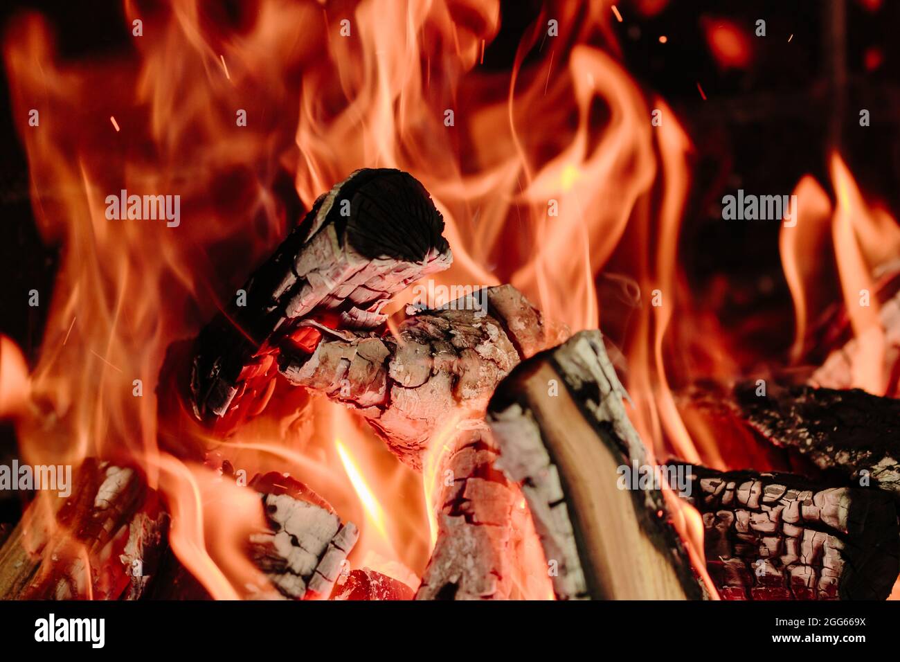 Birning Woods, Lagerfeuer aus der Nähe. Orangenflamme, weiße Asche und Kohlen im Kamin. Feuer im Wald, Naturkatastrophe, unvorsichtiges Verhalten. Kochen auf einem Stockfoto
