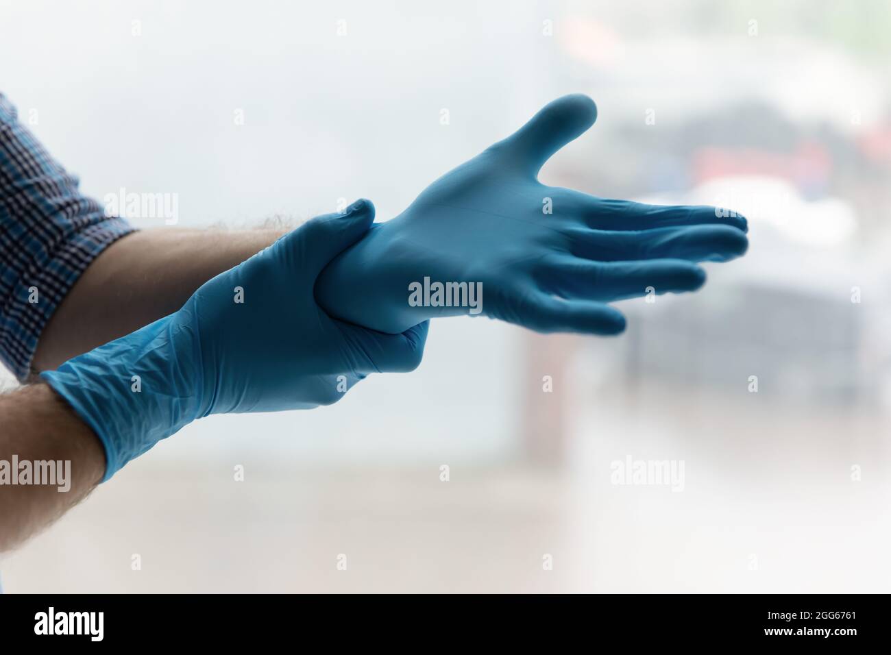 Hände eines Mannes, der blaue Latex-Gummihandschuhe aufsetzt Stockfoto