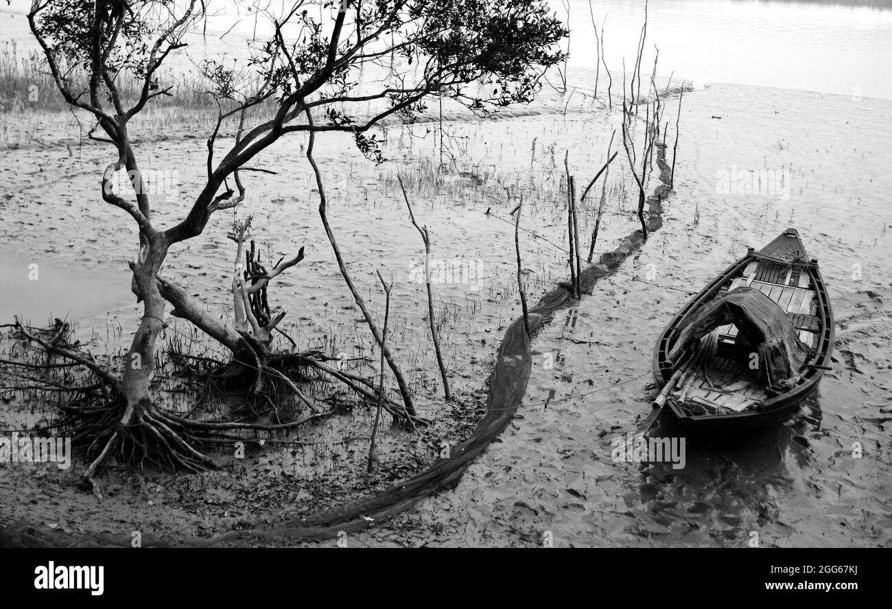 Die schöne Aussicht auf das Flussufer von Sundarban in Westbengalen in Indien. Stockfoto