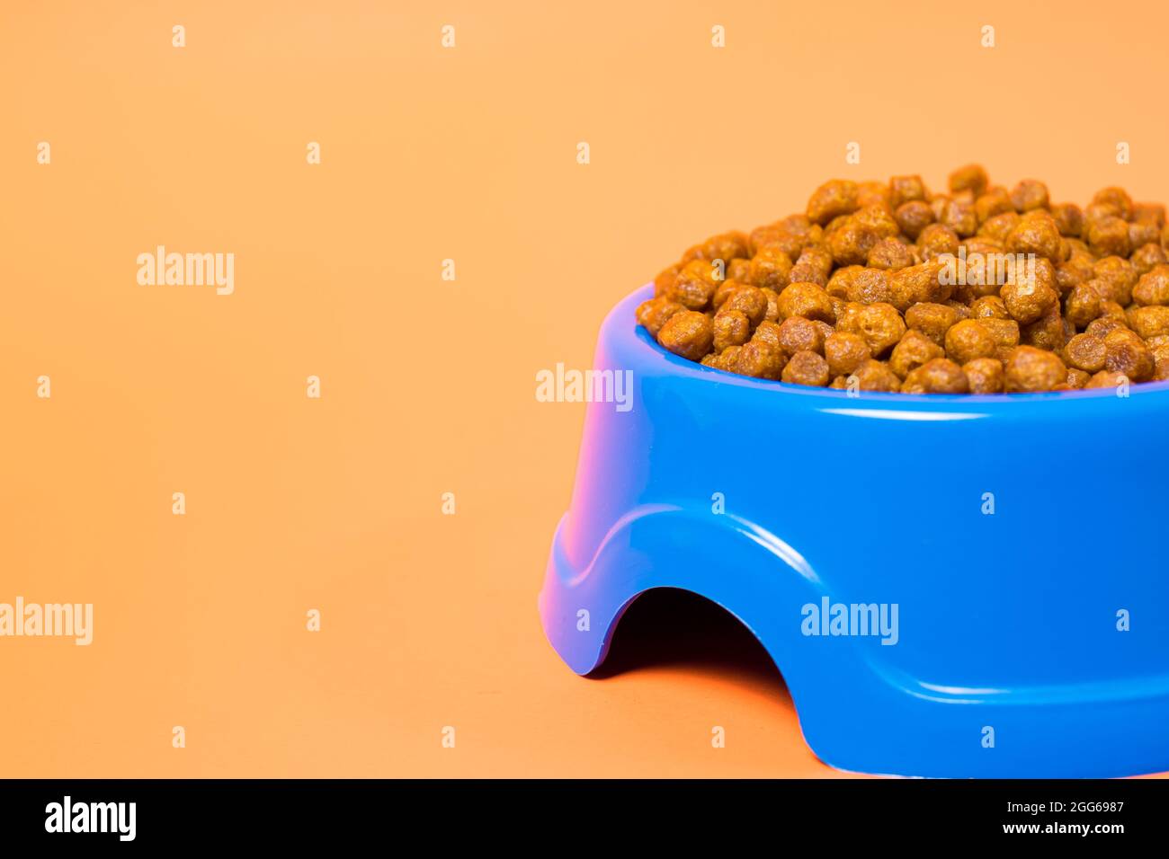 Blaue Platte für Tierfutter auf orangefarbenem Hintergrund mit Platz für Text für den Tierladen. Trockenfutter für Katzen und Kätzchen. Stockfoto