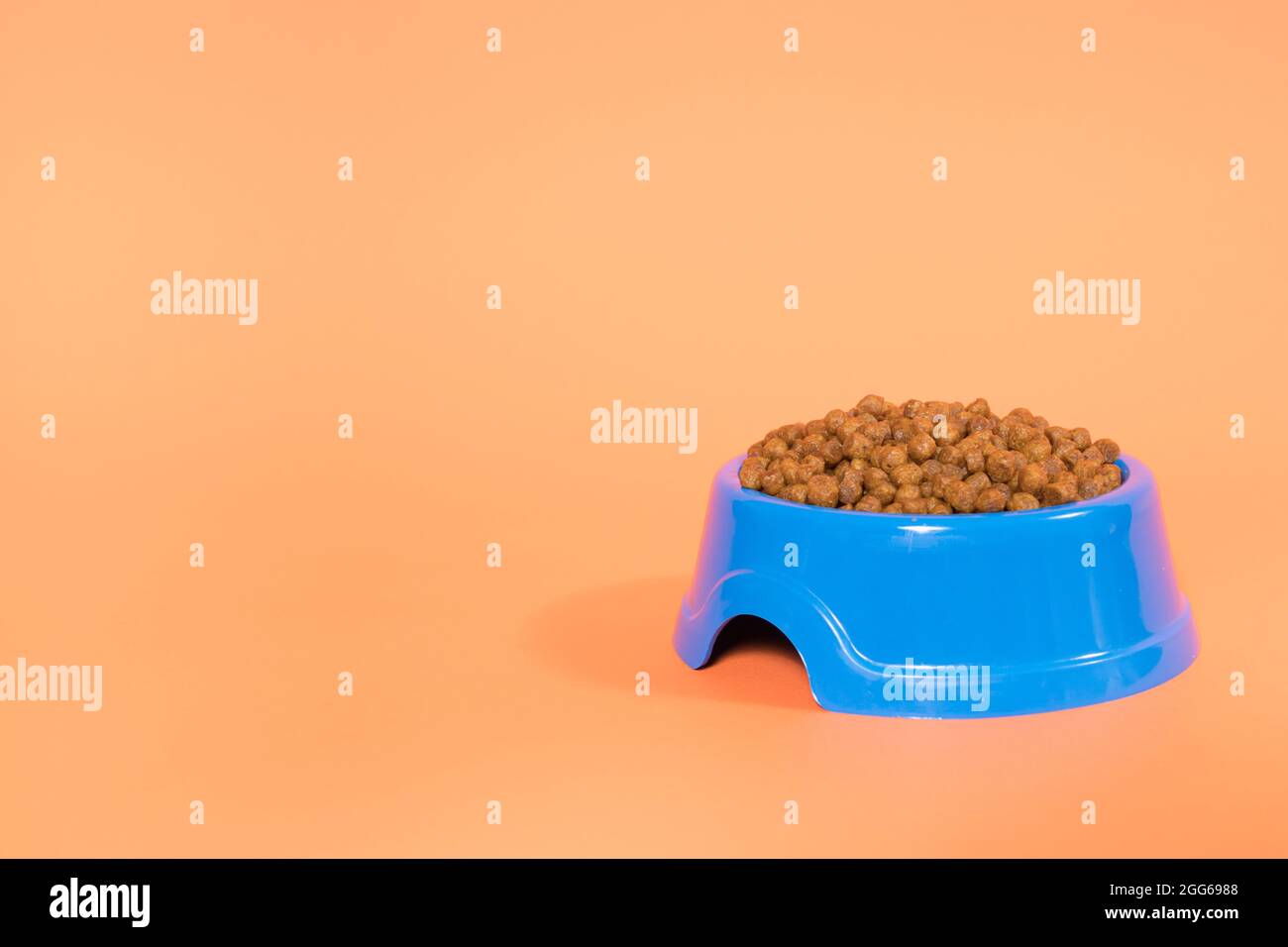 Blaue Platte für Tierfutter auf orangefarbenem Hintergrund mit Platz für Text für den Tierladen. Trockenfutter für Katzen und Kätzchen. Stockfoto