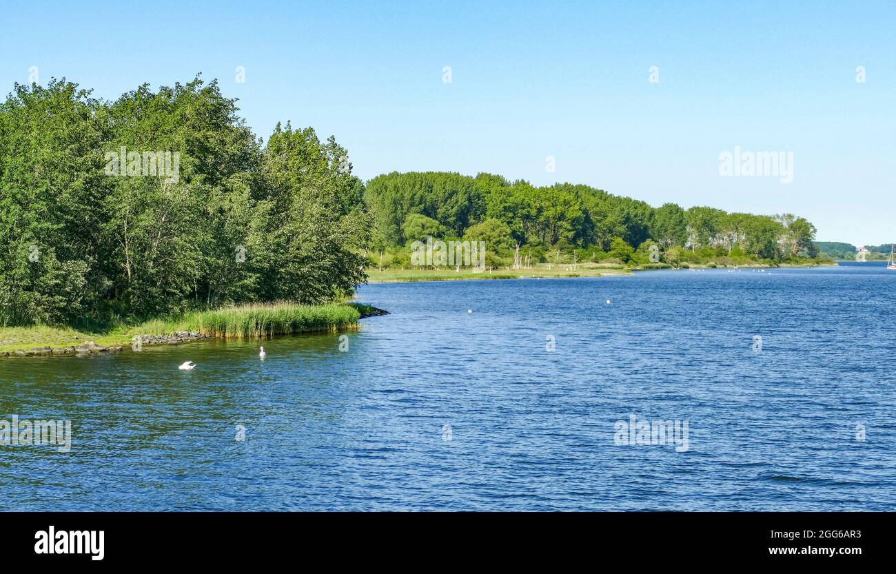 Sonnige Landschaft rund um den Fluss Trave in der Lübecker Bucht Stockfoto
