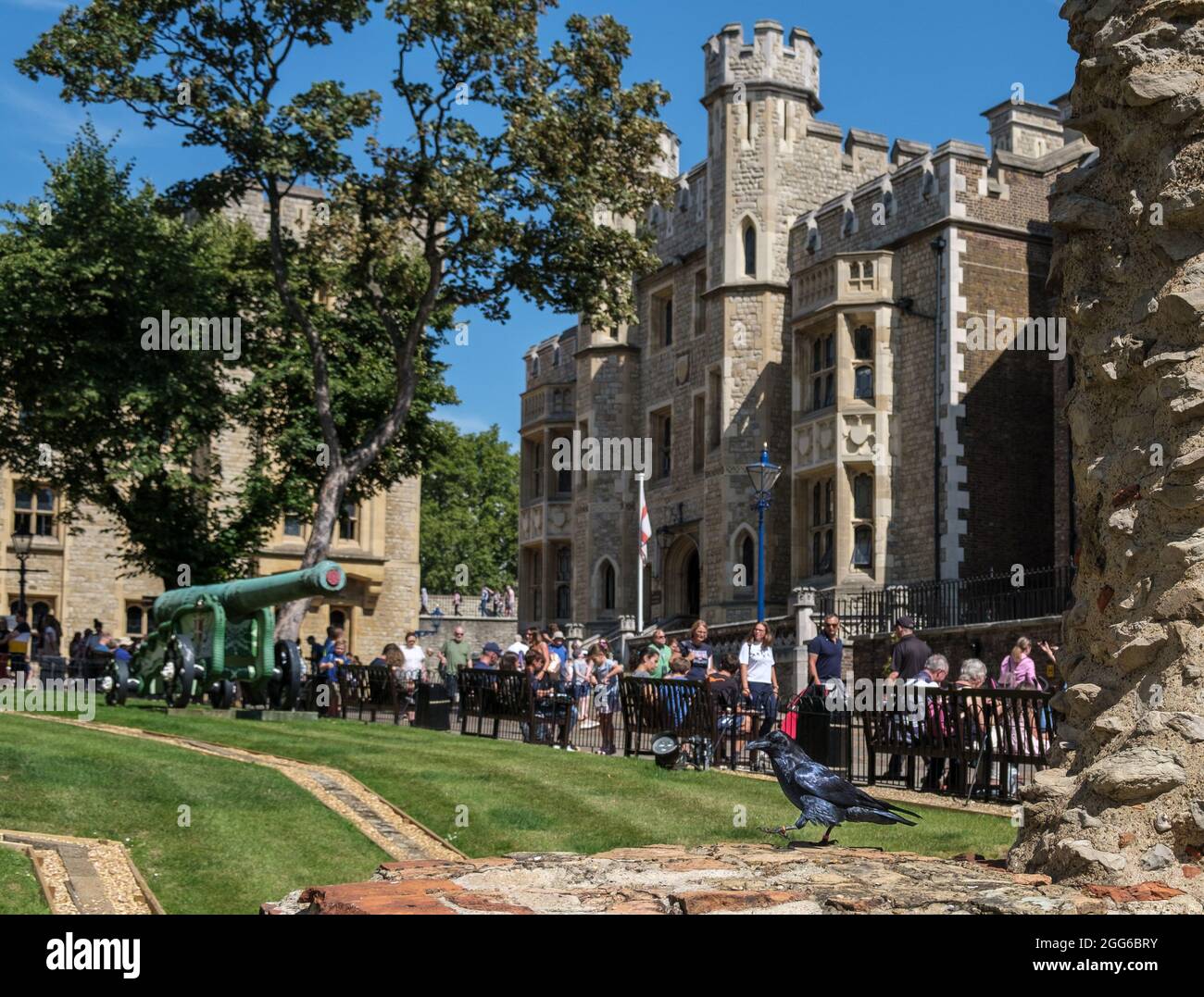 Tower of London Rabe an einer Wand mit Touristen und Gebäuden. Die Legende besagt, dass, sollten die Raben den Turm verlassen, die Krone und Großbritannien fallen werden. Stockfoto