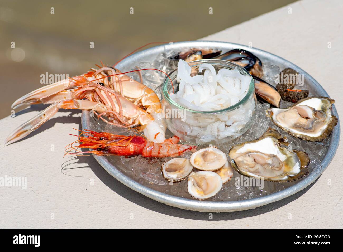 Teller mit rohen frischen Meeresfrüchten oder Lebensmitteln, verzehrfertig mit Garnelen, Garnelen, Austern, Muscheln, Muscheln, Muscheln, Tintenfische, Nahaufnahme Stockfoto
