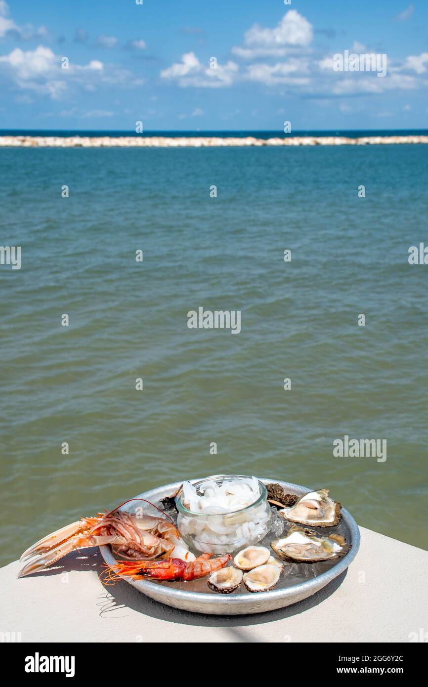 Teller mit rohen frischen Meeresfrüchten oder Lebensmitteln, verzehrfertig mit Garnelen, Garnelen, Austern, Muscheln, Muscheln, Muscheln, Tintenfisch mit Glas Weißwein, vertikal Stockfoto