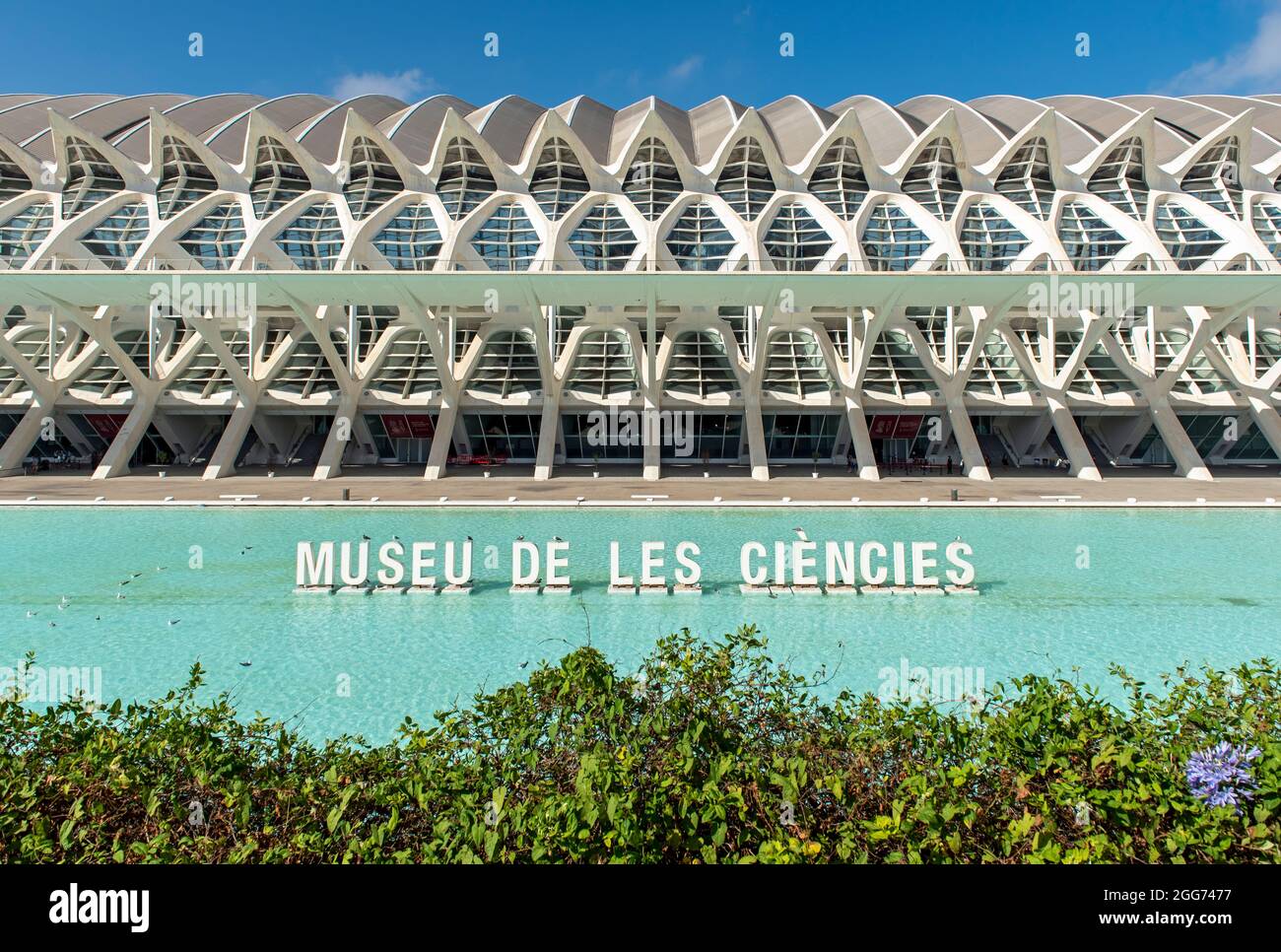 Museu de les Ciències (Wissenschaftsmuseum von Prinz Philip), Stadt der Künste und Wissenschaften, Valencia, Spanien Stockfoto