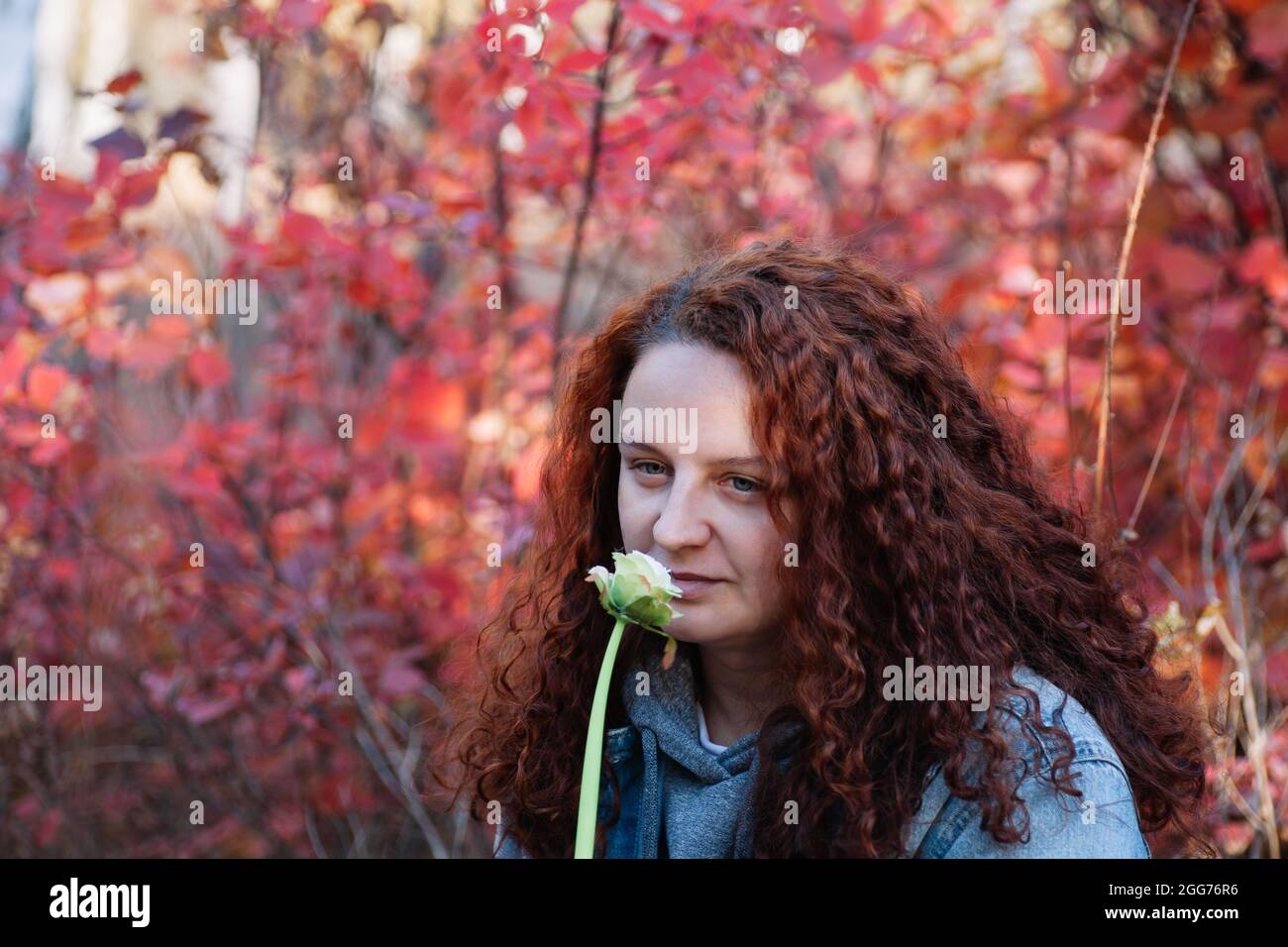 Frau mit Blume aus der Nähe. Frau mit langen kurvigen braunen Haaren riechen weiße Blume im Herbstwald mit rotem Busch auf dem Hintergrund Stockfoto