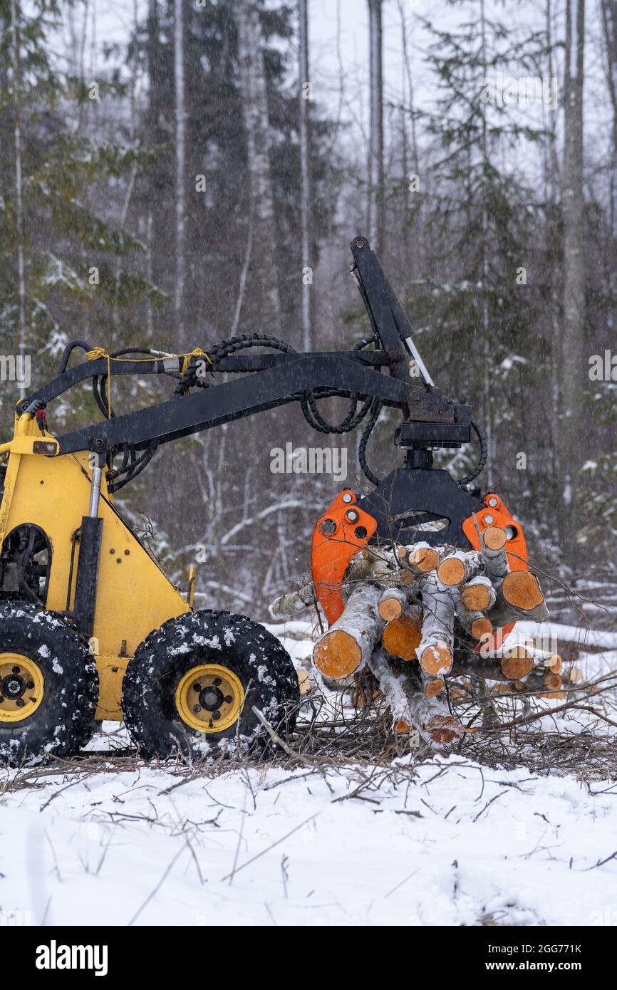 Seitenansicht zur Mini-Lenksteuerung. Der Mini-Lader wird voll mit Holzstämmen aufgenommen. Im Winter. Stockfoto