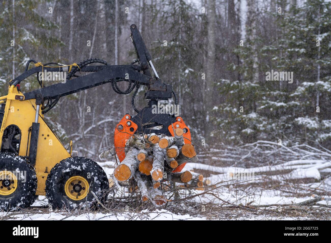Seitenansicht zur Mini-Lenksteuerung. Der Mini-Lader wird voll mit Holzstämmen aufgenommen. Im Winter. Stockfoto
