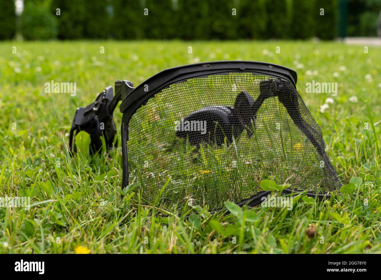 Kettensäge Helm Sicherheitsnetz fallen auf dem grünen Rasen schwarzen Gesichtsschutz auf einem grünen Rasen platziert Stockfoto