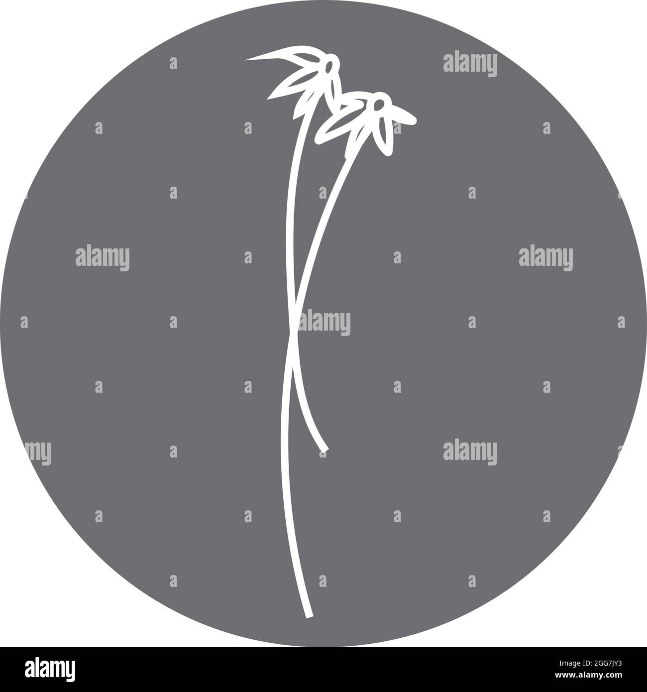 Gartengraspflanze, Symbolillustration, Vektor auf weißem Hintergrund Stock Vektor