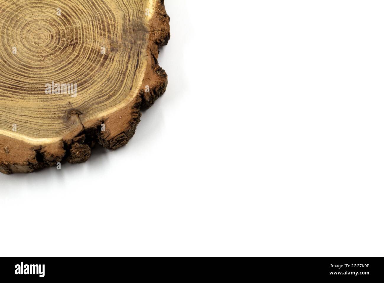 Ein Holzring als Dekoration in Ihrem Haus. Stockfoto