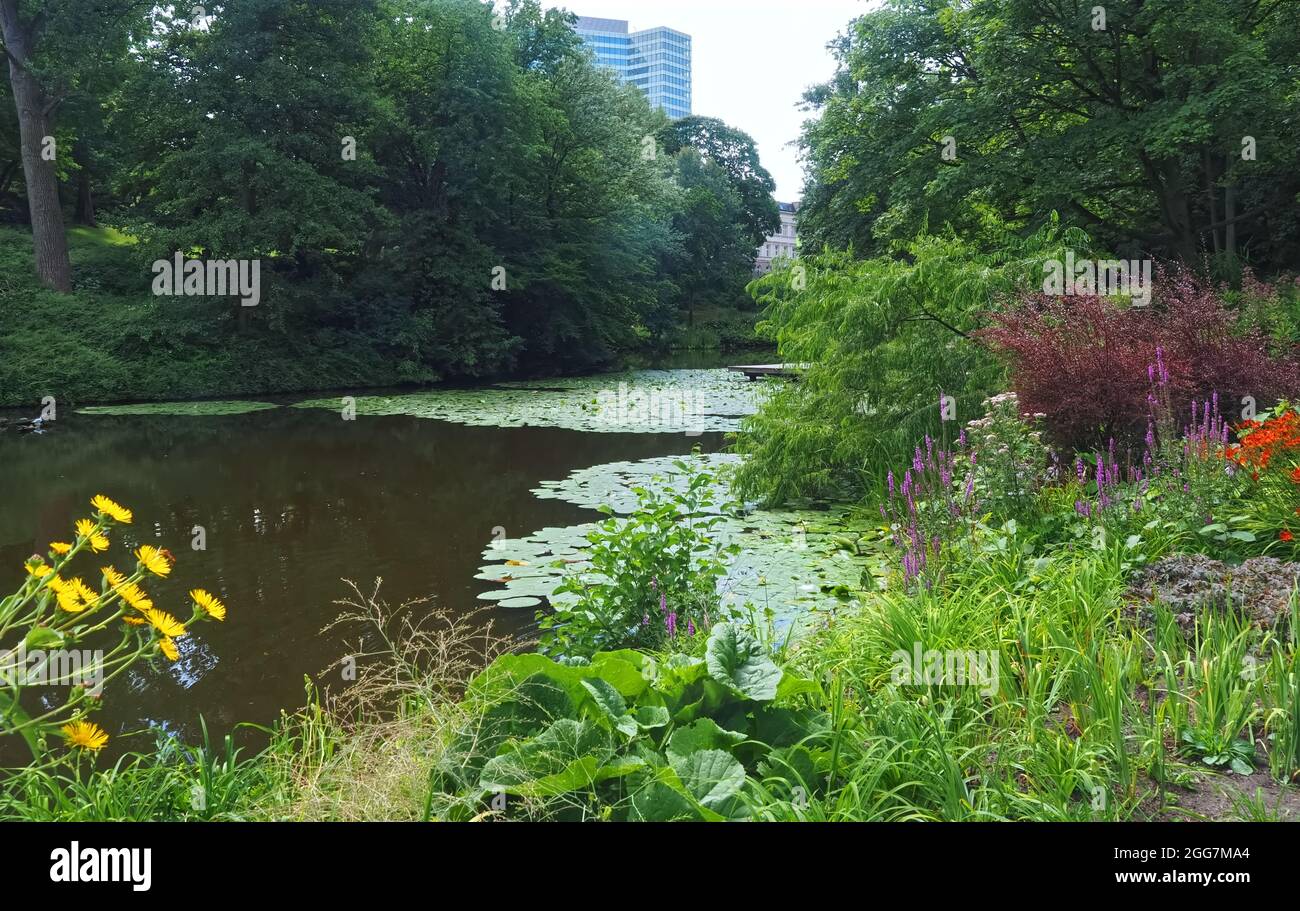 Planten un blomen Fotos und Bildmaterial in hoher Auflösung Seite 3