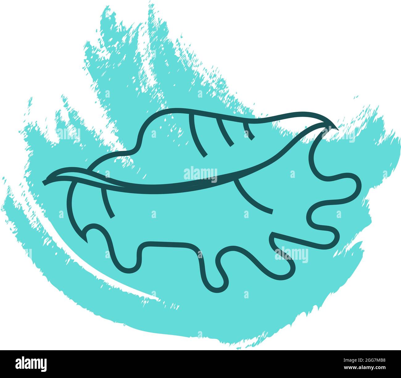 Kaffeebohne-Trivia-Schnecke-Muschel, Symbolillustration, Vektor auf weißem Hintergrund Stock Vektor