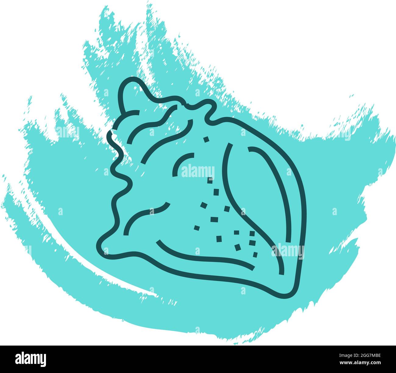 Atlantische Feigenschnecke Muschel, Symbolillustration, Vektor auf weißem Hintergrund Stock Vektor