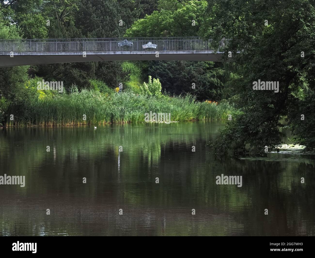 Planten un blomen Fotos und Bildmaterial in hoher Auflösung Alamy