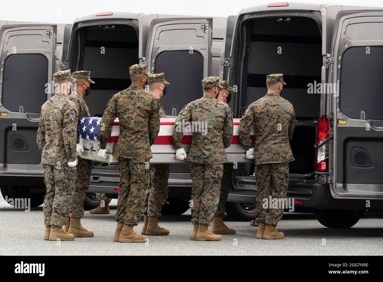 Ein U.S. Marine Corps Carry Team überträgt die Überreste des Marine Corps Sgt. Nicole L. Gee aus Sacramento, Kalifornien, 29. August 2021 auf dem Luftwaffenstützpunkt Dover, Delaware. Gee wurde der 2D Marine Logistics Group, II Marine Expeditionary Force, Camp Lejeune, North Carolina, zugewiesen. (USA Luftwaffe Foto von Jason Minto) Stockfoto