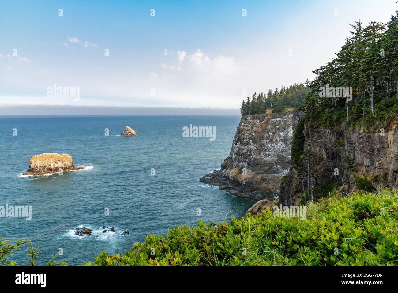 Felsklippe am Cape Meares State Scenic Viewpoint. Tallimook, Oregon, USA. Stockfoto