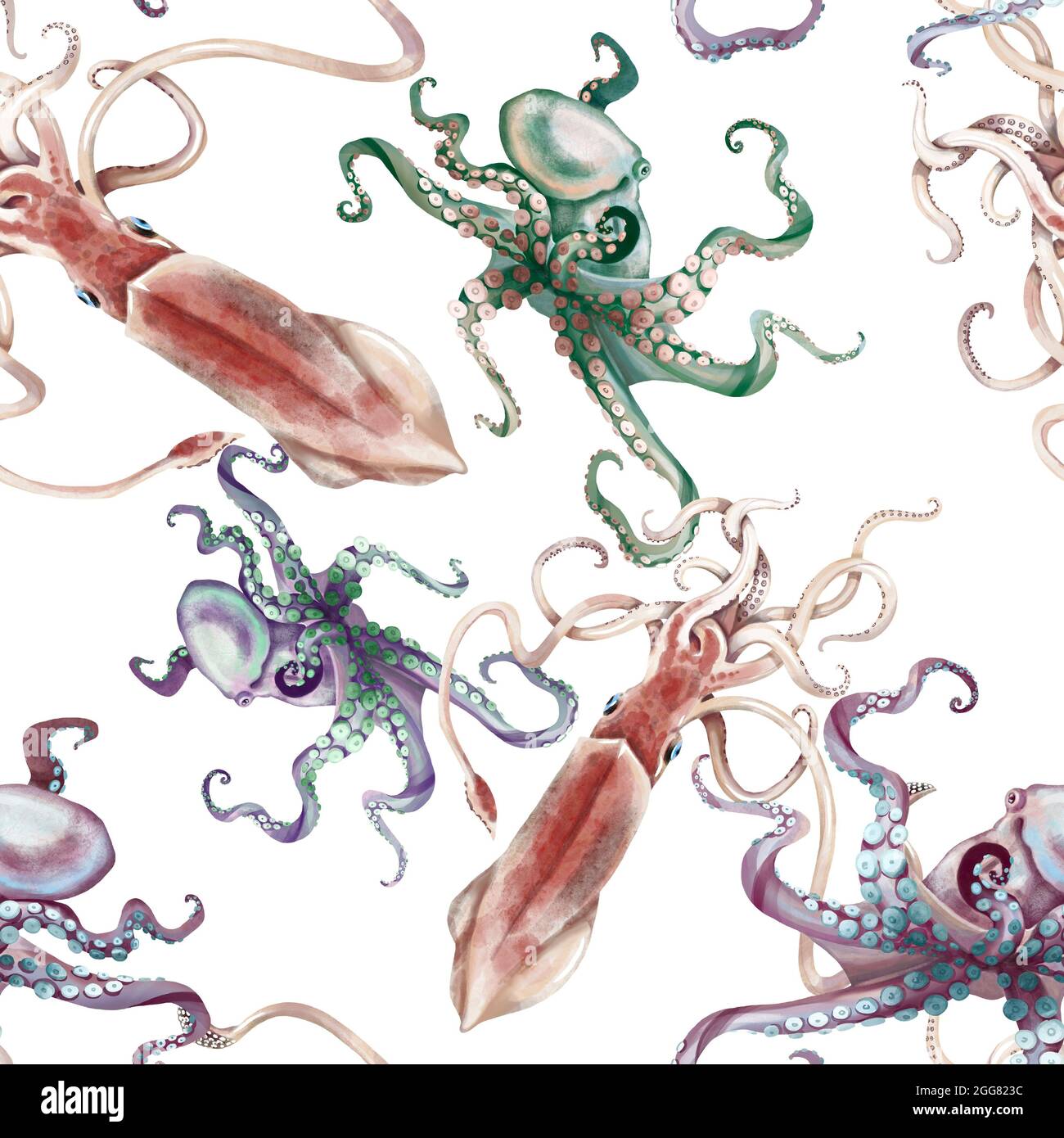 Aquarell Tintenfisch Tintenfisch nahtlose Muster, handbemalte Illustration Stockfoto