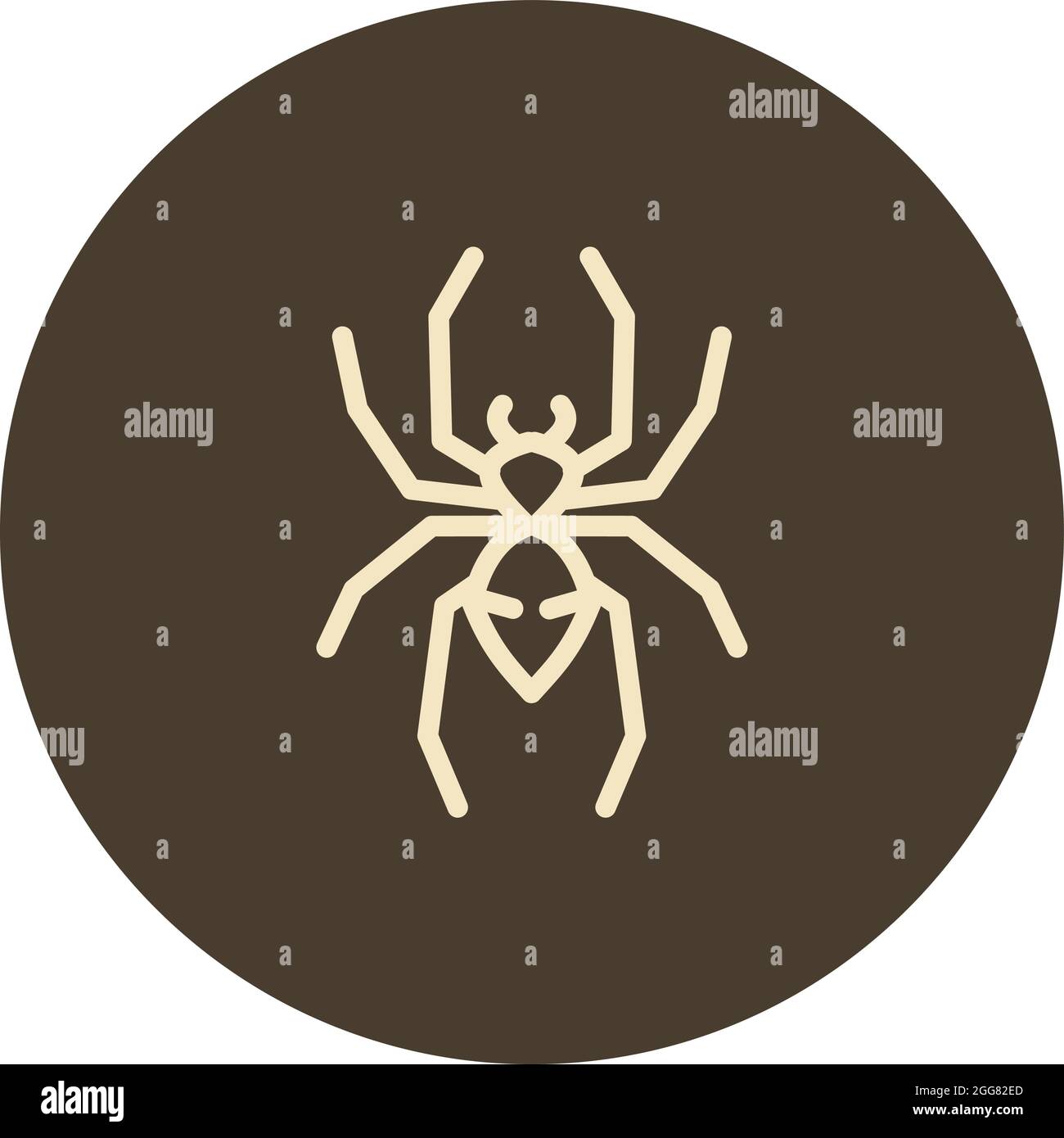 Kleine Spinne, Illustration, auf weißem Hintergrund. Stock Vektor