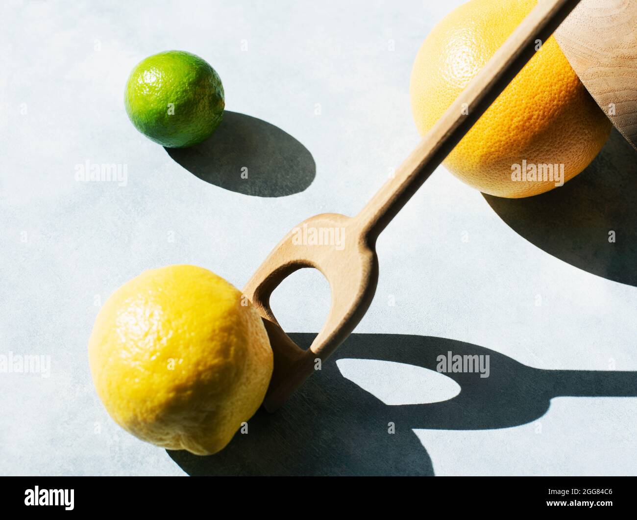 Studioaufnahme von Zitrone, Grapefruit und Limette Stockfoto