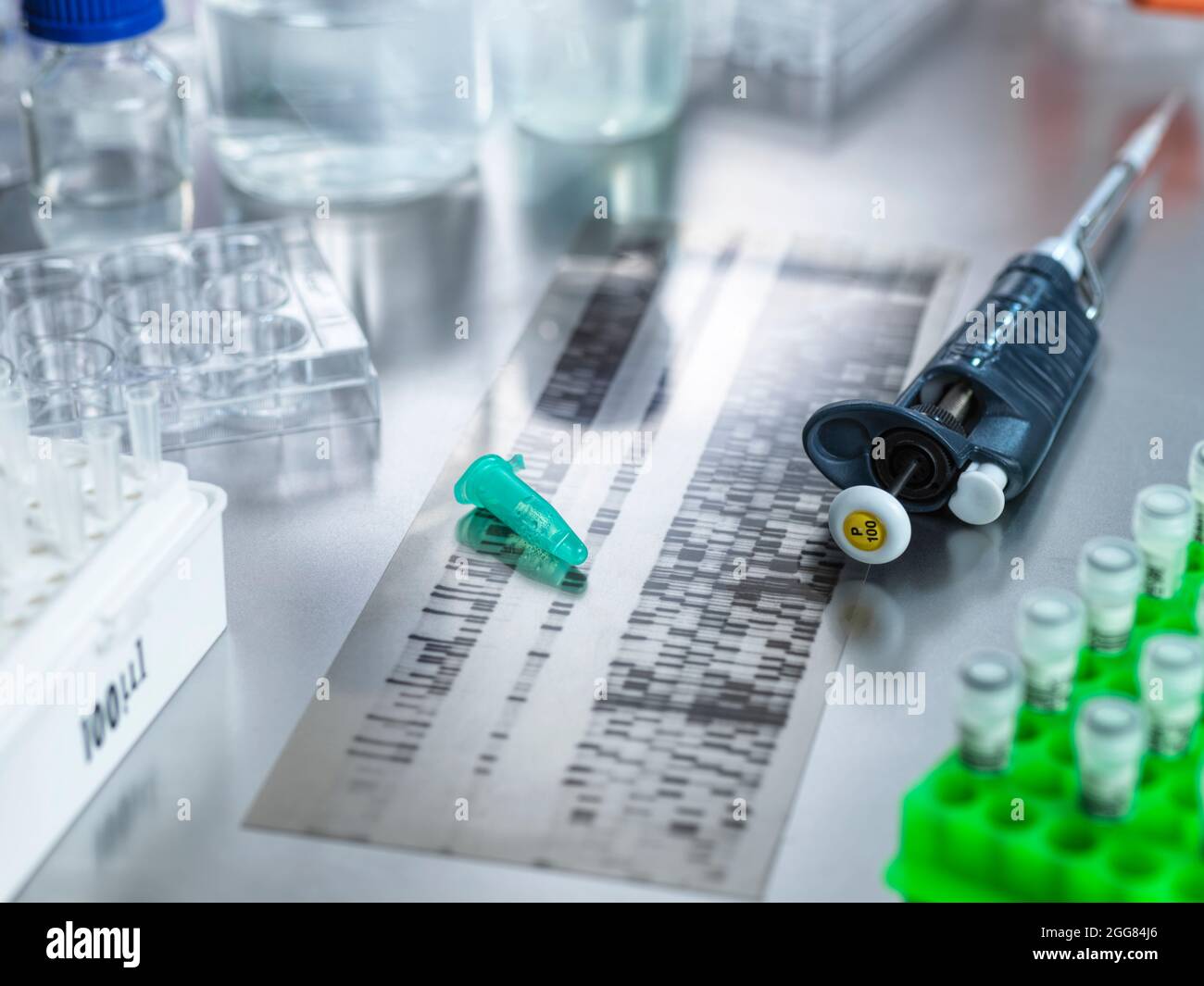 DNA-Gelprobe im Labor Stockfoto