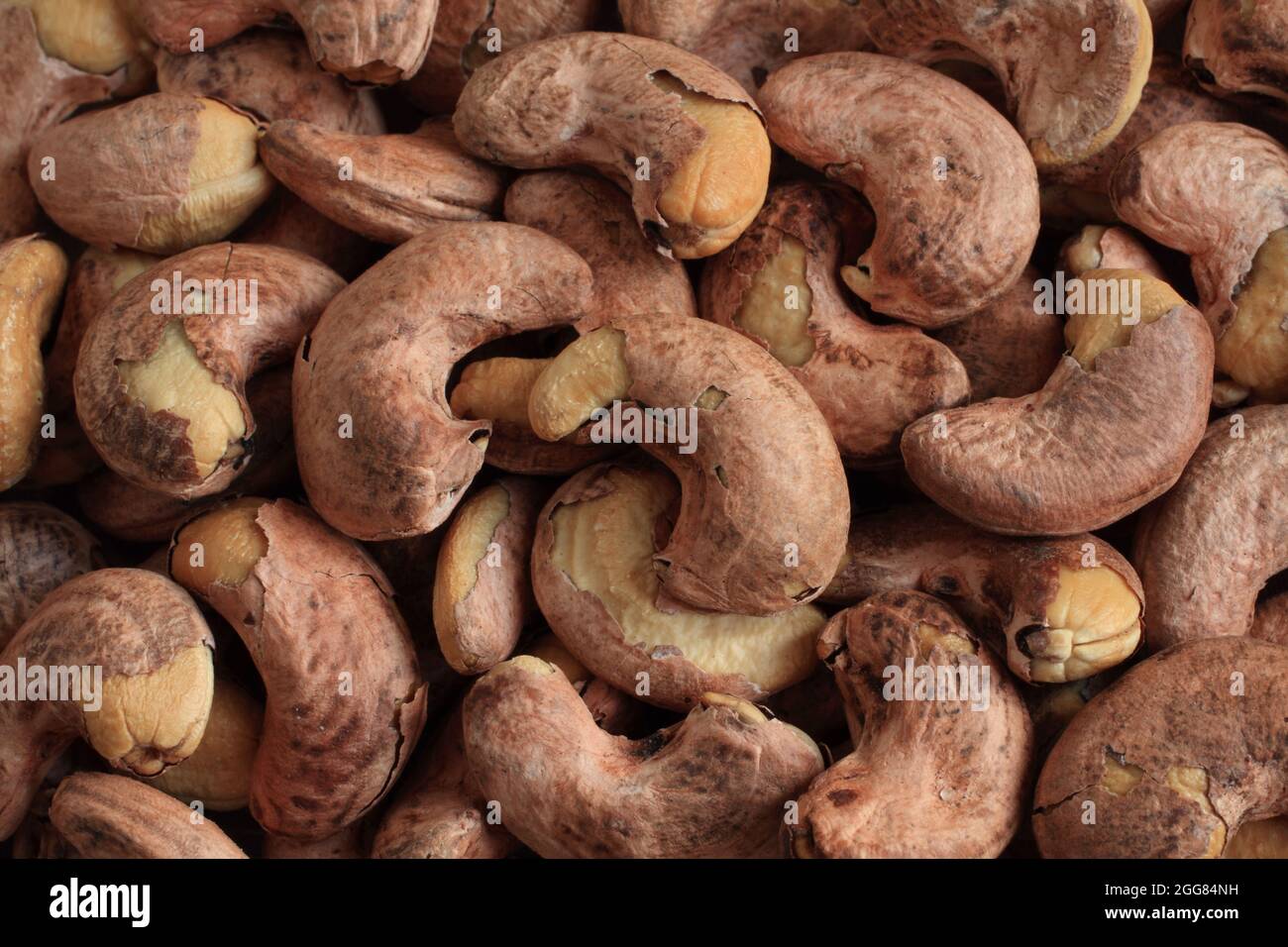 Haufen leicht gerösteter und gesalzener Cashewkerne. Draufsicht. Nahaufnahme. Hintergrund der Speisen Stockfoto