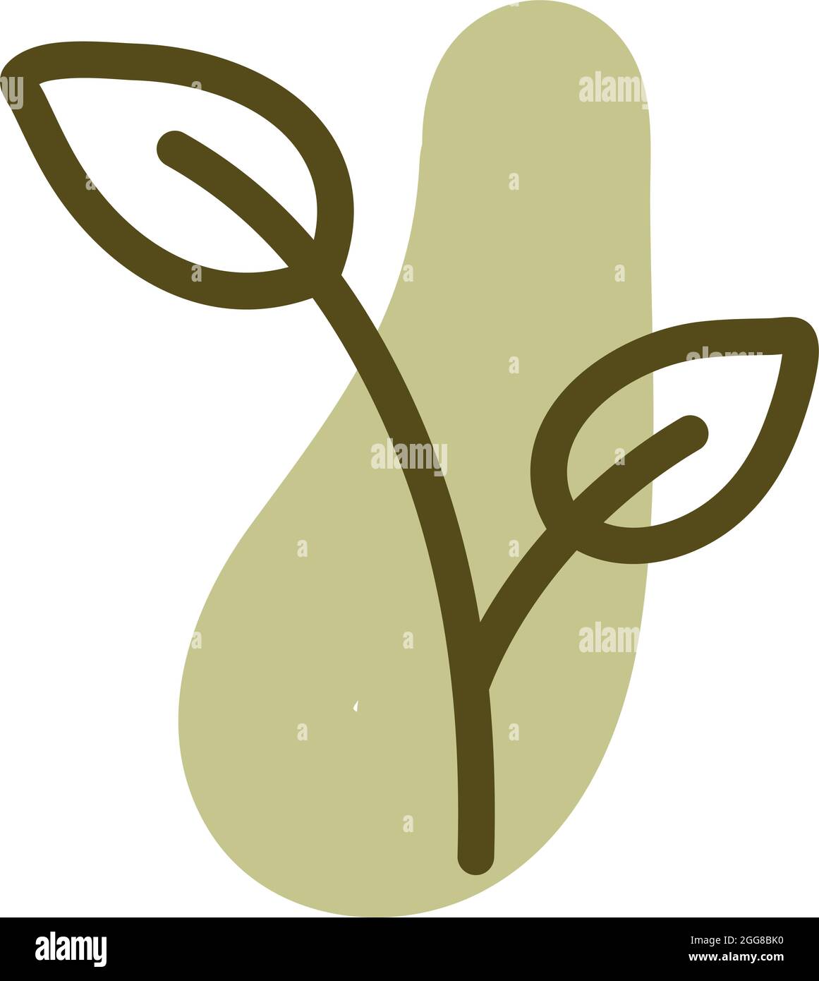 Grüne Gartenpflanze, Illustration, Vektor auf weißem Hintergrund. Stock Vektor