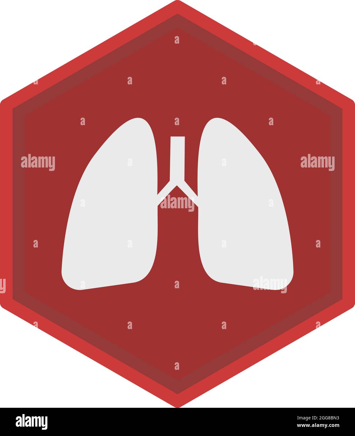 Menschliche Lungen, Illustration, Vektor auf weißem Hintergrund. Stock Vektor