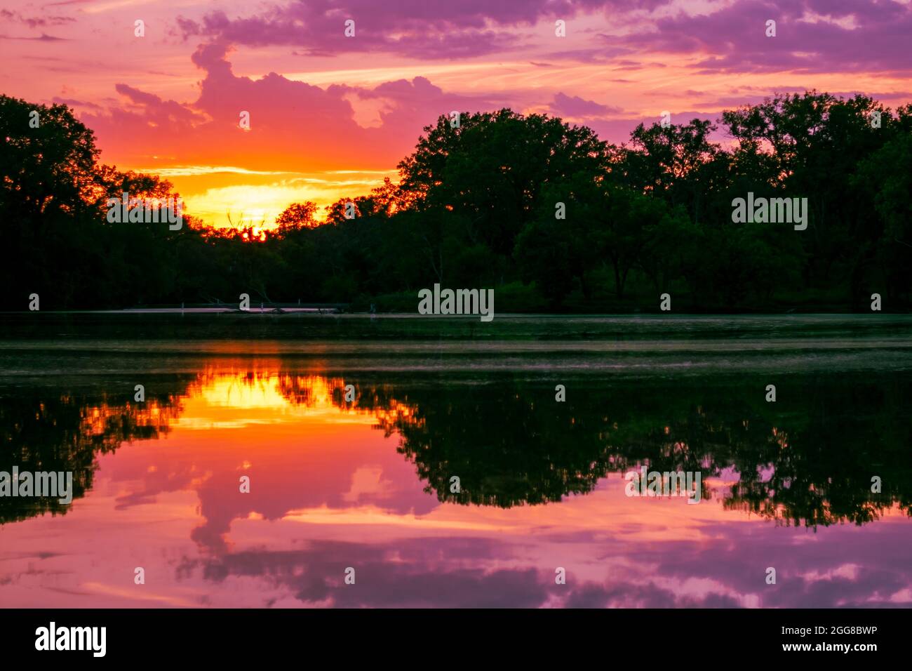 Aufnahme einer Lagune bei Sonnenuntergang, die die Bäume und den Himmel im Wasser spiegelt. Stockfoto