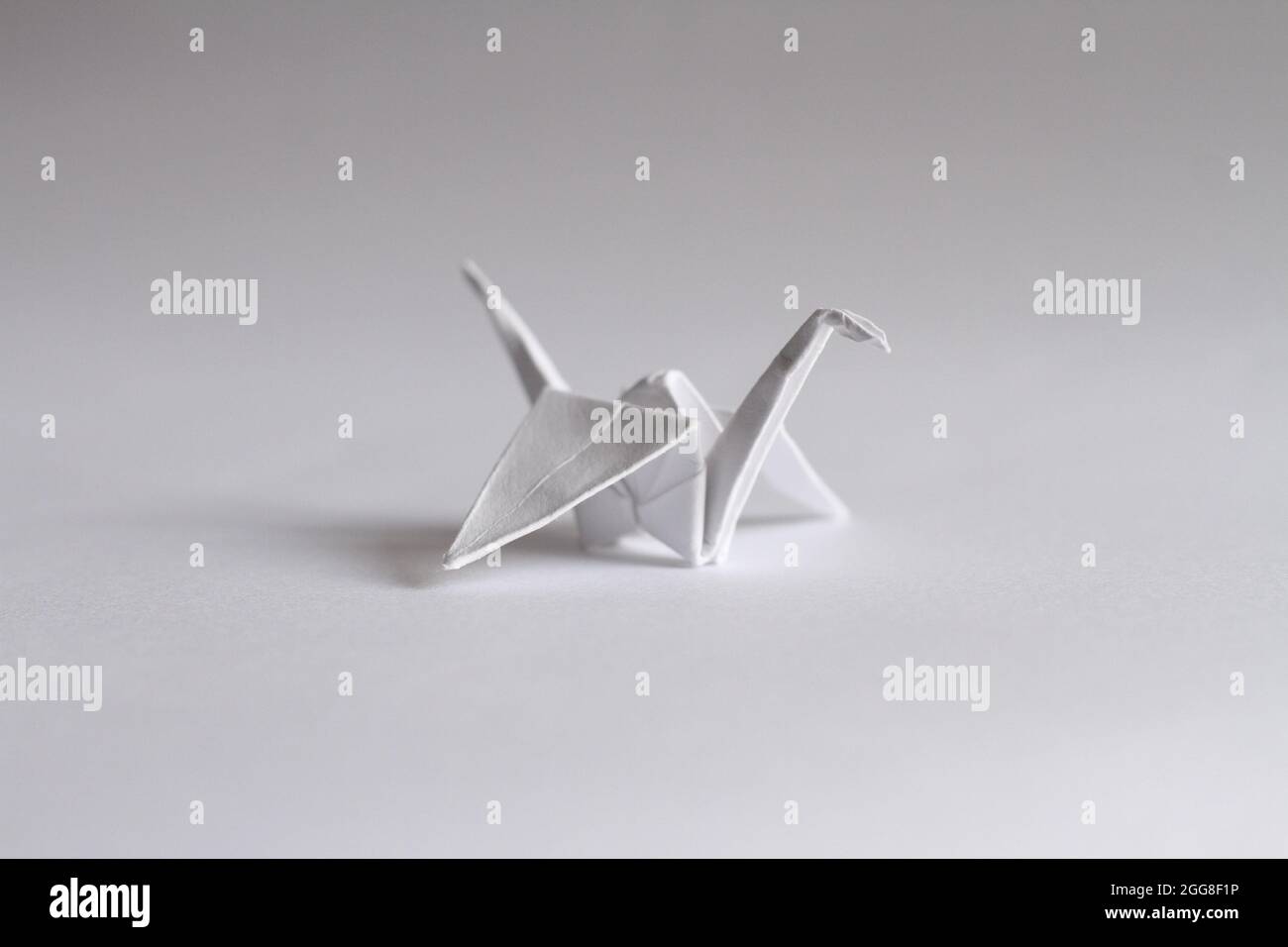 Weißer Origami-Vogel. Stockfoto