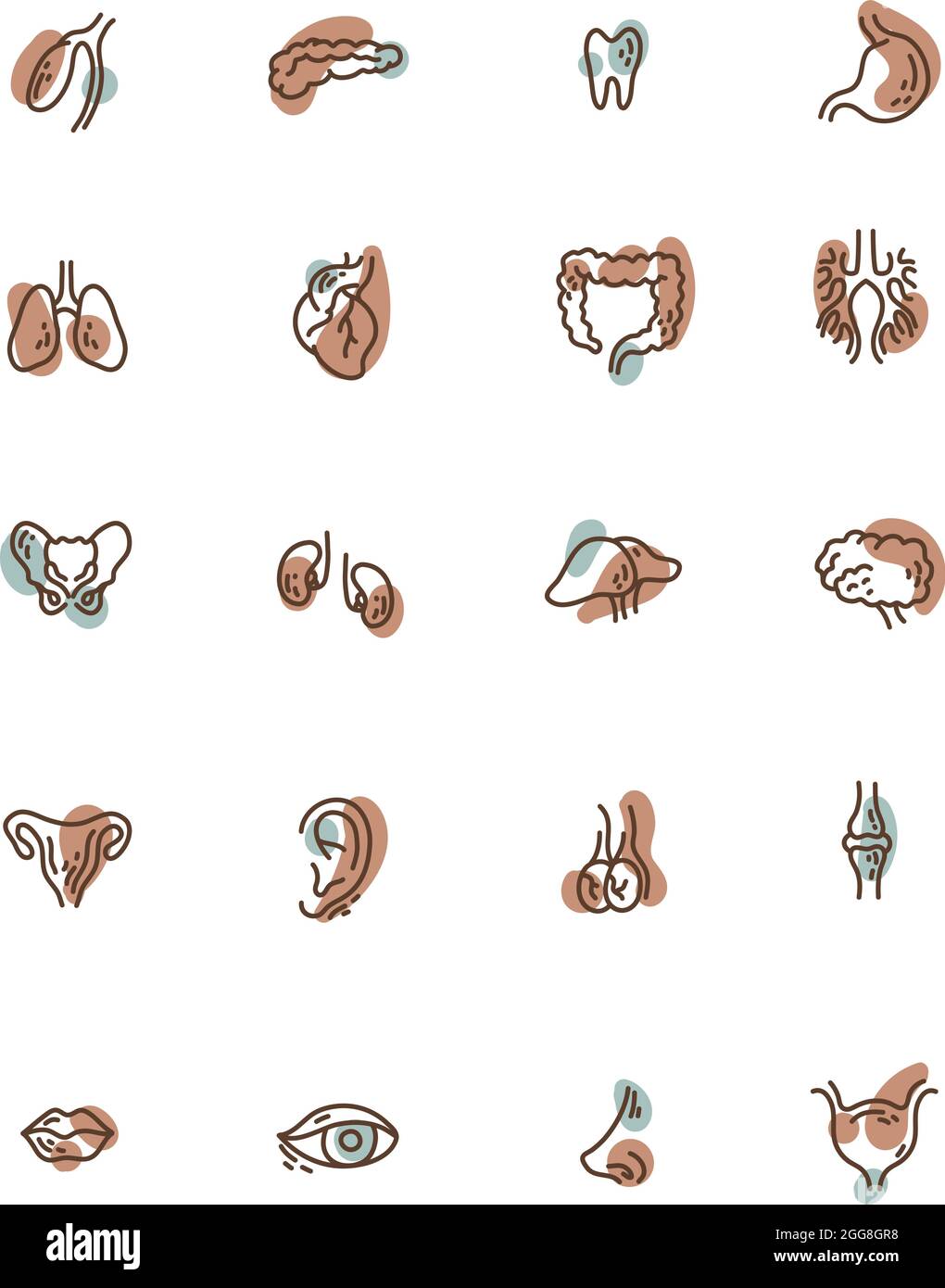 Menschliche Körperteile, Illustration, Vektor, auf weißem Hintergrund. Stock Vektor