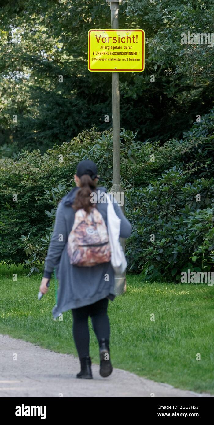 Hamburg, Deutschland. August 2021. Ein Schild mit der Aufschrift 'Achtung! Allergiegefahr durch Eichenprozessionär-Motte! Bitte berühren Sie Raupen und Nester nicht" im Stadtpark Winterhude warnt vor den Raupen der Motte, die bei Berührung allergische Reaktionen bei Menschen auslösen können. Quelle: Markus Scholz/dpa/Alamy Live News Stockfoto