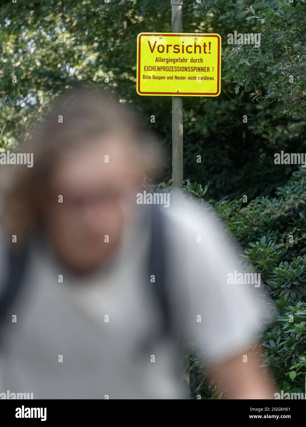 Hamburg, Deutschland. August 2021. Ein Schild mit der Aufschrift 'Achtung! Allergiegefahr durch Eichenprozessionär-Motte! Bitte berühren Sie Raupen und Nester nicht" im Stadtpark Winterhude warnt vor den Raupen der Motte, die bei Berührung allergische Reaktionen bei Menschen auslösen können. Quelle: Markus Scholz/dpa/Alamy Live News Stockfoto