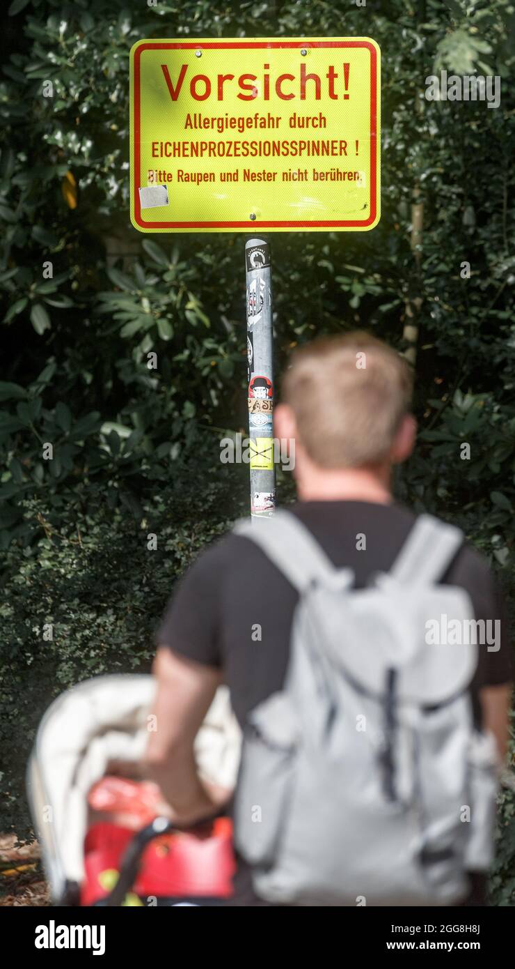 Hamburg, Deutschland. August 2021. Ein Schild mit der Aufschrift 'Achtung! Allergiegefahr durch Eichenprozessionär-Motte! Bitte berühren Sie Raupen und Nester nicht" im Stadtpark Winterhude warnt vor den Raupen der Motte, die bei Berührung allergische Reaktionen bei Menschen auslösen können. Quelle: Markus Scholz/dpa/Alamy Live News Stockfoto