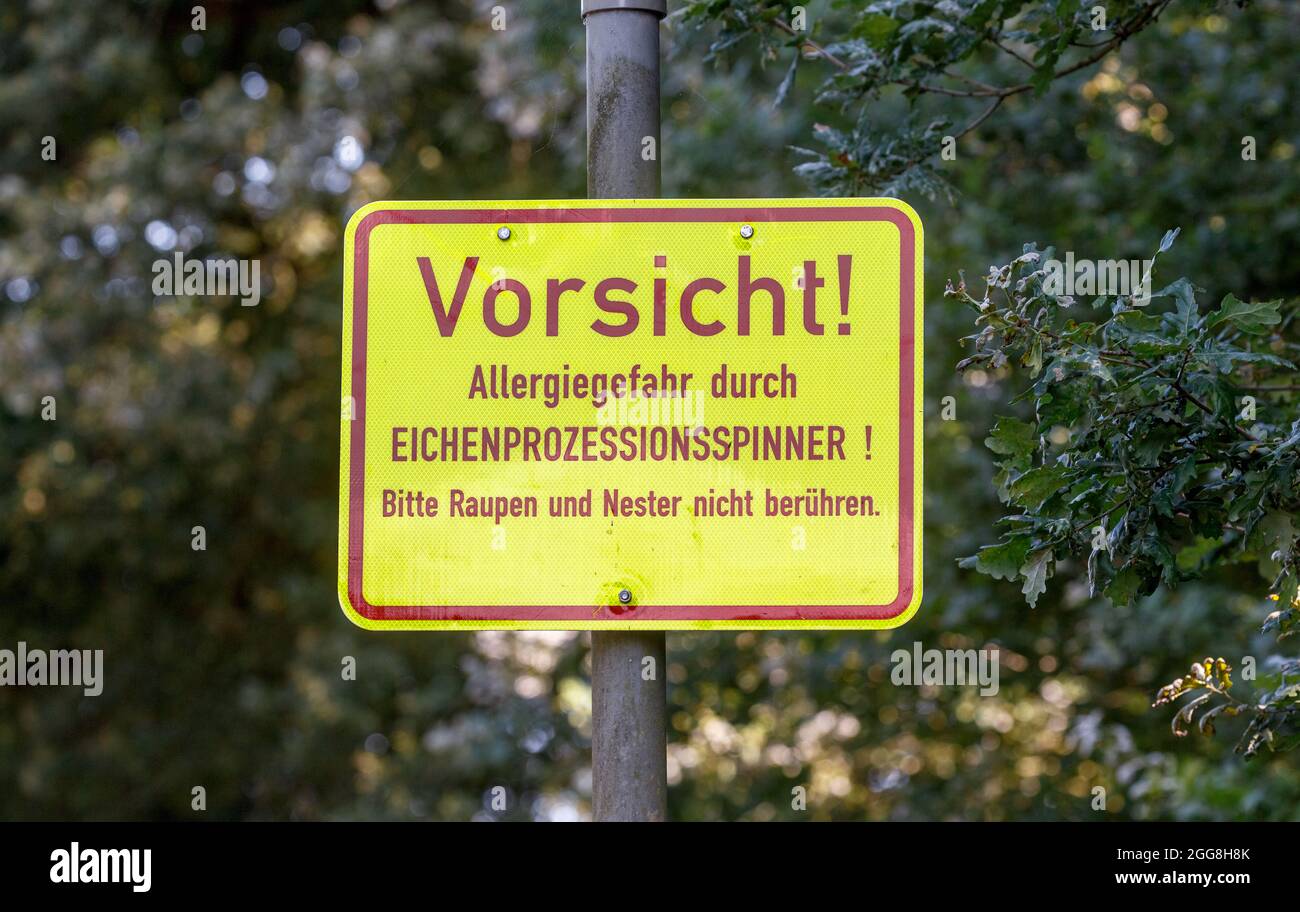 Hamburg, Deutschland. August 2021. Ein Schild mit der Aufschrift 'Achtung! Allergiegefahr durch Eichenprozessionär-Motte! Bitte berühren Sie Raupen und Nester nicht" im Stadtpark Winterhude warnt vor den Raupen der Motte, die bei Berührung allergische Reaktionen bei Menschen auslösen können. Quelle: Markus Scholz/dpa/Alamy Live News Stockfoto