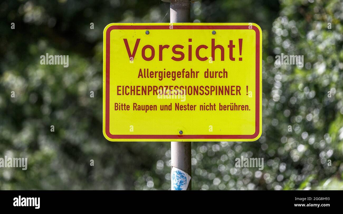 Hamburg, Deutschland. August 2021. Ein Schild mit der Aufschrift 'Achtung! Allergiegefahr durch Eichenprozessionär-Motte! Bitte berühren Sie Raupen und Nester nicht" im Stadtpark Winterhude warnt vor den Raupen der Motte, die bei Berührung allergische Reaktionen bei Menschen auslösen können. Quelle: Markus Scholz/dpa/Alamy Live News Stockfoto