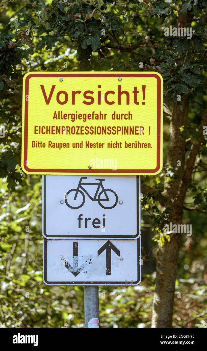 Hamburg, Deutschland. August 2021. Ein Schild mit der Aufschrift 'Achtung! Allergiegefahr durch Eichenprozessionär-Motte! Bitte berühren Sie Raupen und Nester nicht" im Stadtpark Winterhude warnt vor den Raupen der Motte, die bei Berührung allergische Reaktionen bei Menschen auslösen können. Quelle: Markus Scholz/dpa/Alamy Live News Stockfoto