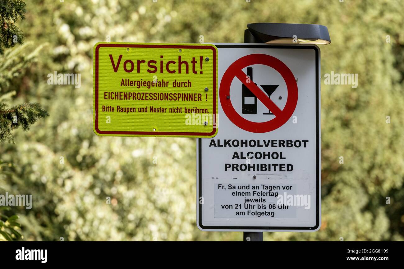 Hamburg, Deutschland. August 2021. Ein Schild (l) mit der Aufschrift „Achtung! Allergiegefahr durch Eichenprozessionär-Motte! Bitte berühren Sie Raupen und Nester nicht" warnt im Stadtpark Winterhude vor den Raupen der Motte, die bei Berührung allergische Reaktionen bei Menschen auslösen können. Ein zweites Schild weist auf das Alkoholverbot hin, das an Wochenenden gilt. Quelle: Markus Scholz/dpa/Alamy Live News Stockfoto
