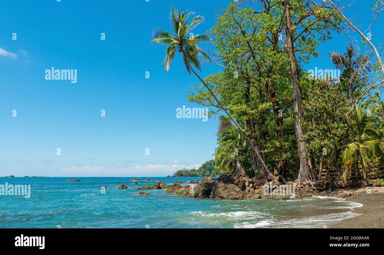 Strand im Sommer mit Palmen, Corcovado Nationalpark, Osa Halbinsel, Costa Rica. Stockfoto