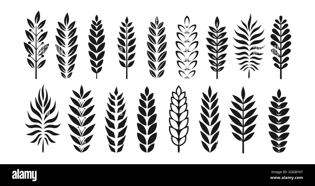 Set mit Zweiggrafik oder heraltrockener Silhouette. Olivenzweige, Lorbeer Blatt Auszeichnung, Leistung. Dekorative Vintage-Elemente für Design. Verschiedene heraldry Emblem, Logo Adel Emblem Vektor Stock Vektor