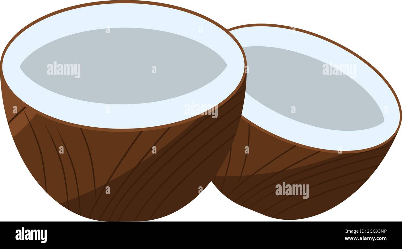 Kokosnuss in der Hälfte, Illustration, Vektor auf weißem Hintergrund. Stock Vektor