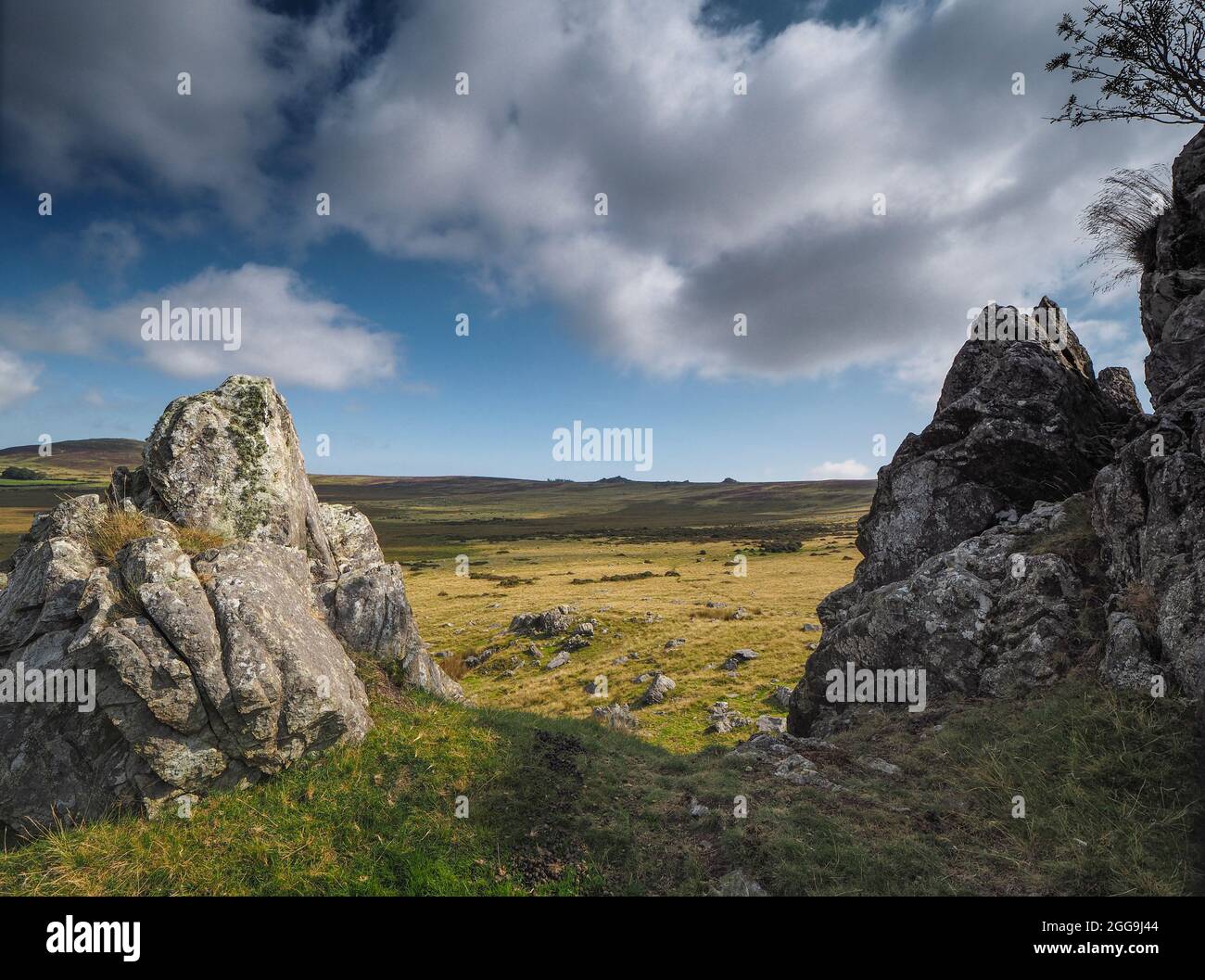 Preseli Hills, Pembrokeshire, Wales, Großbritannien Stockfoto