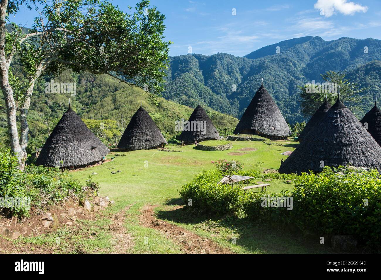 Überblick über das traditionelle Dorf WAE Rebo in den bewaldeten Bergen von East Nusa Tenggara, Flores, Indonesien Stockfoto