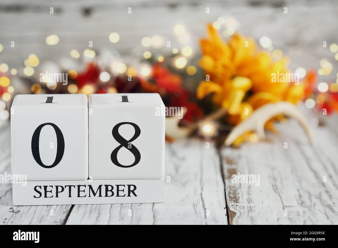 Weiße Holz-Kalenderblöcke mit dem Datum 8. September und Herbstdekorationen über einem Holztisch. Selektiver Fokus mit unscharfem Hintergrund. Stockfoto