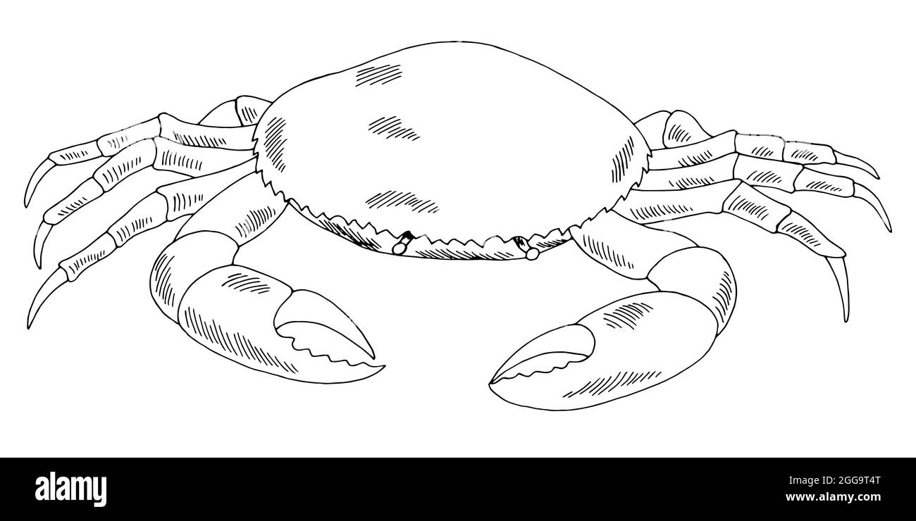 Crab Grafik schwarz weiß isoliert Skizze Illustration Vektor Stock Vektor