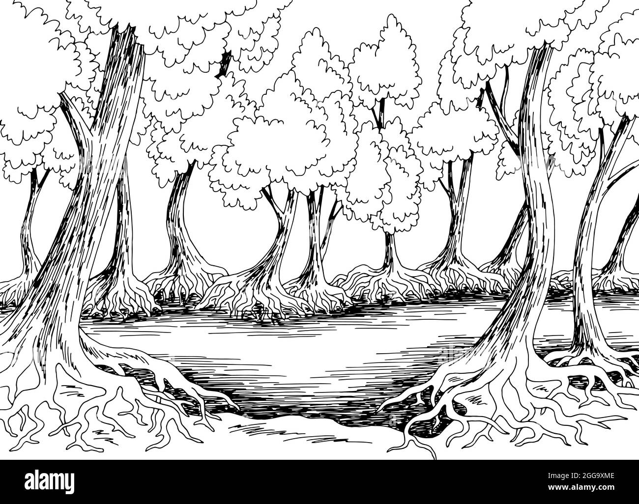 Mangroven Dschungel Wald Fluss Grafik schwarz weiß Landschaft Skizze Illustration Vektor Stock Vektor