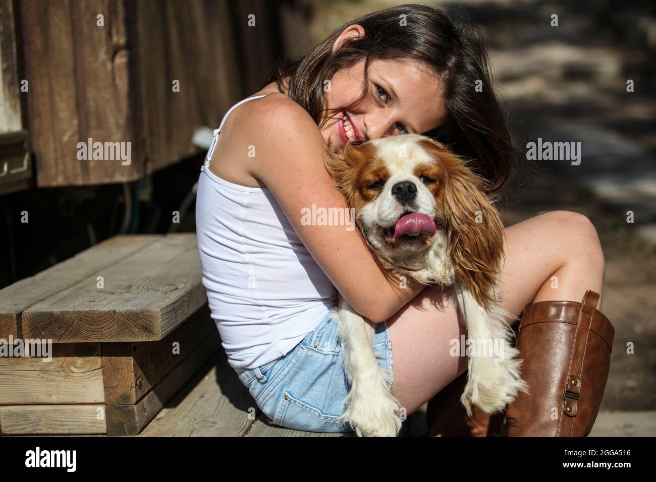 Junges Mädchen von 12 Jahren mit ihrem Hund Stockfoto