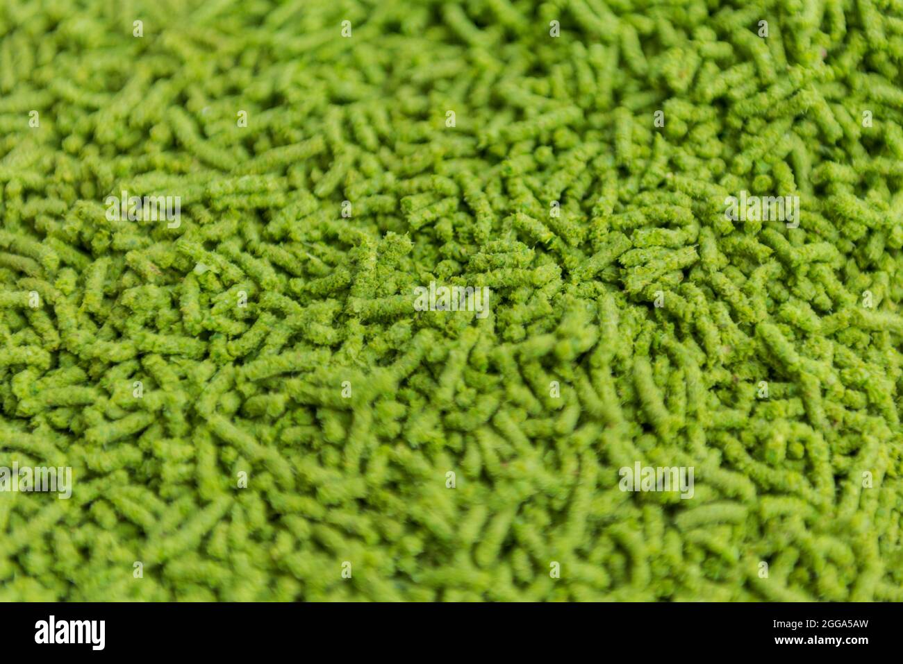 Detail des gemahlenen frischen grünen Hopfens Stockfoto